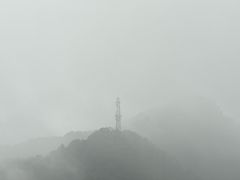 -大金鹰园