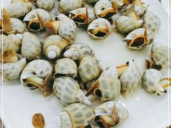 -明记海鲜大排档(巽寮湾店)