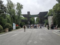 -溱湖国家湿地公园