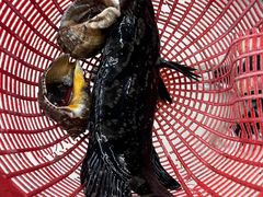 -鑫鸿达·海鲜闽菜热炒小馆(中山路店)