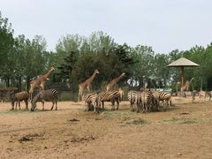 -大连森林动物园