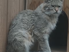 -青藏高原野生动物园