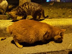 -华南师范大学(广州大学城校区)