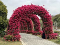 -东莞植物园