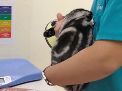 -美迦爱-牙专科·兔科·骨科诊疗中心(北苑店)