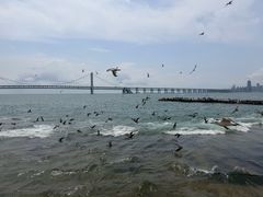 -星海广场
