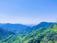 -大岭沟猕猴桃谷风景区
