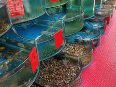 -四海蒸鲜蒸汽海鲜自助(北戴河店)