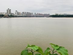 -滨江路