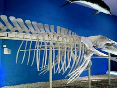 -福州罗源湾海洋世界旅游区