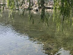 -环城公园