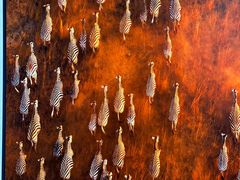 -罗红摄影艺术馆