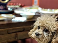 -爱新觉罗福臨火锅馆(万科滑雪场店)