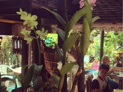 -自然餐厅(Phuket)