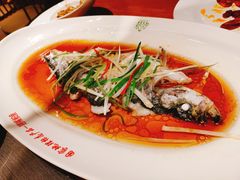 -丹江渔村(望京店)