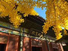 -红螺寺