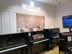 -柏斯琴行(汾阳店)
