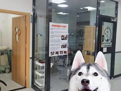 -中农大我爱我爱动物医院·核磁CT·猫病·24小时夜诊中心(石佛营店)