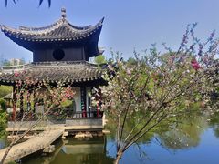 -水绘园