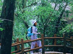 -火炉山森林公园