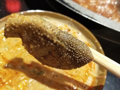 毛肚-宽板凳老灶火锅(南礼士路店)