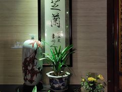-玉芝兰(长发街店)
