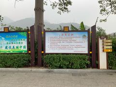 -羚羊峡古栈道森林公园
