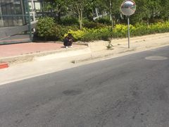 -泳远游泳培训俱乐部(东方体育中心店)