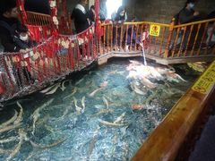 游乐设施-成都浩海立方海洋公园