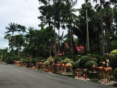 -东芭乐园