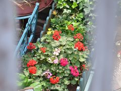 -泉乐坊步行街(烟酒特产平价超市店)