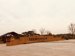 -盘龙城国家考古遗址公园