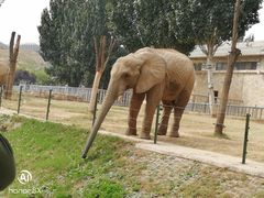 -石家庄市动物园