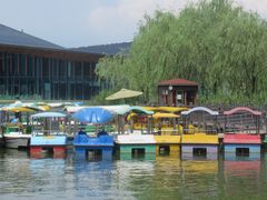 -上海长兴岛郊野公园