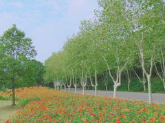 -钟山体育运动公园