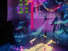 -武汉杂技厅