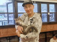 -MOCHA明星猫咖(田子坊店)