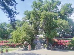 -红螺寺