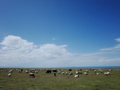 -青海湖国家重点风景名胜区