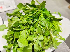 -张凯达·深海石斑鱼潮汕火锅(十五年品牌•虹桥天街店)