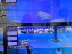 -聚宾楼·烤鸭·家宴(科技三路店)