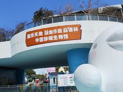 -芜湖新华联大白鲸海洋公园