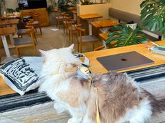 -小意思咖啡店(草桥店)