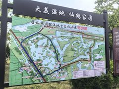 -盐城丹顶鹤湿地生态旅游区