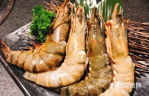 Large Shrimp