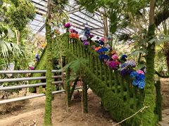 -呀路古热带植物园