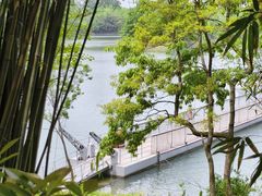 -南湾湖