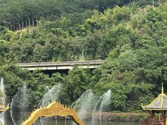 -西双版纳原始森林公园