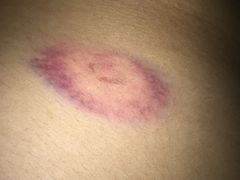 -凤凰山标靶彩弹射击场