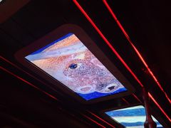 -香港海洋公园
